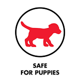 feature-icon