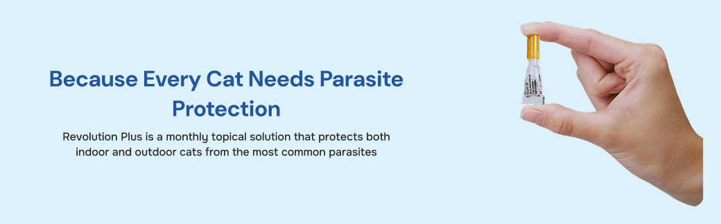 prod12075 - placement 2 - desktop.jpg