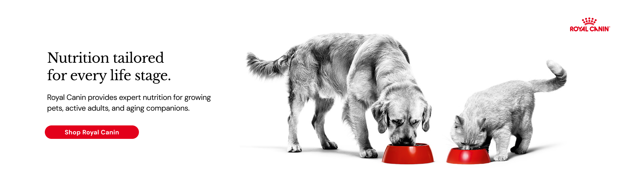 Royal Canin Banner