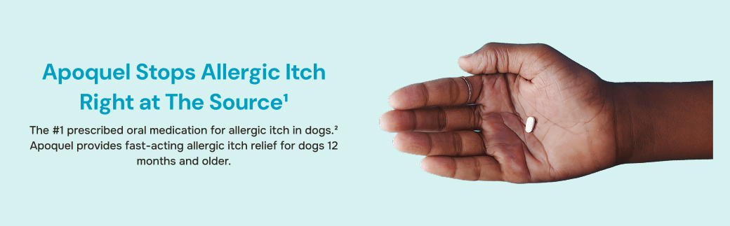 prod11700 - Placement 2 - Desktop.jpg