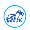 feature-icon