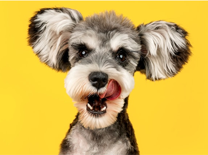 Fresh Breath & Healthy Smiles