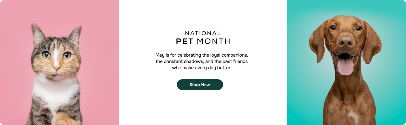 Pet Month Celebration
