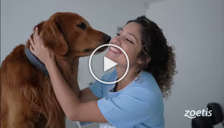 Zoetis Video