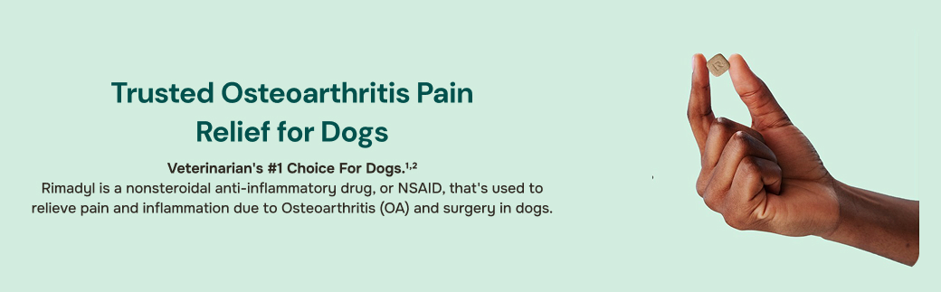 prod10261 - placement 2 - Desktop.jpg