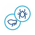 feature-icon
