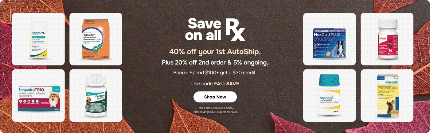 FALLSAVE