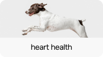 Heart Health - PLP Category Card - 212x118.png