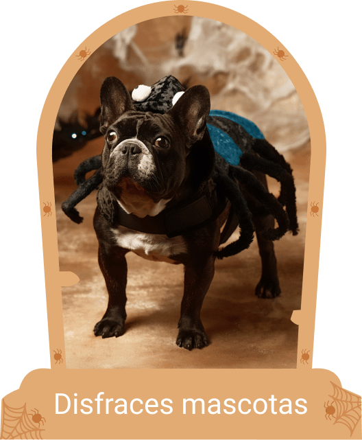 disfraz-mascota_m
