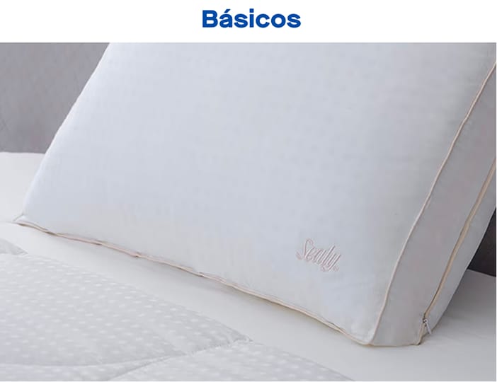 Básicos