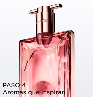 Paso 04