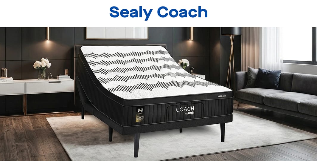 Sealy Coach
