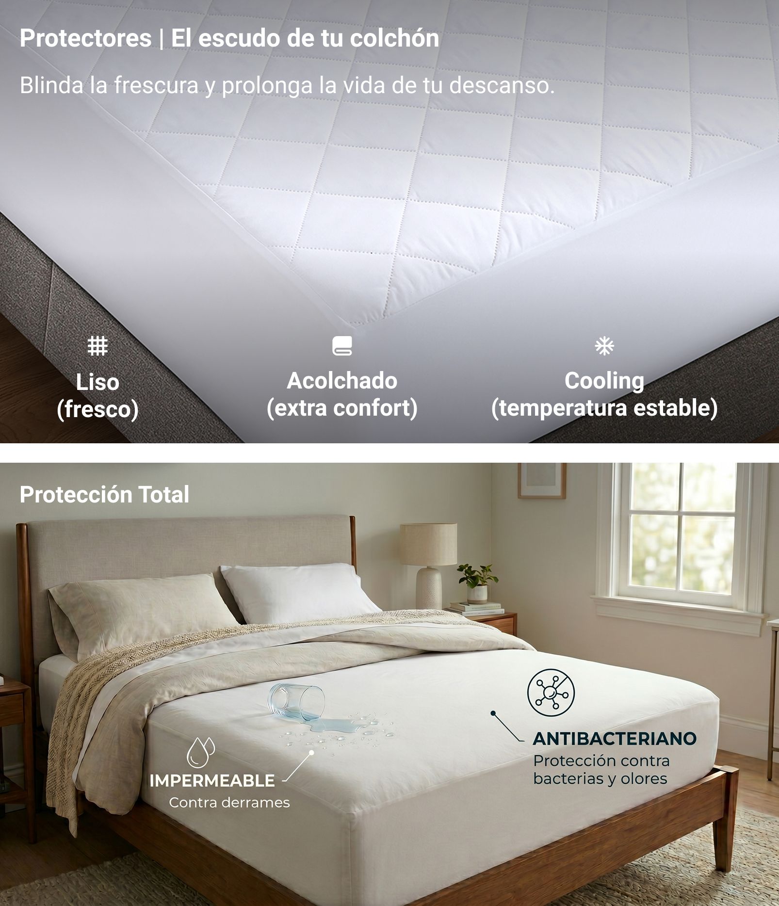 Protectores