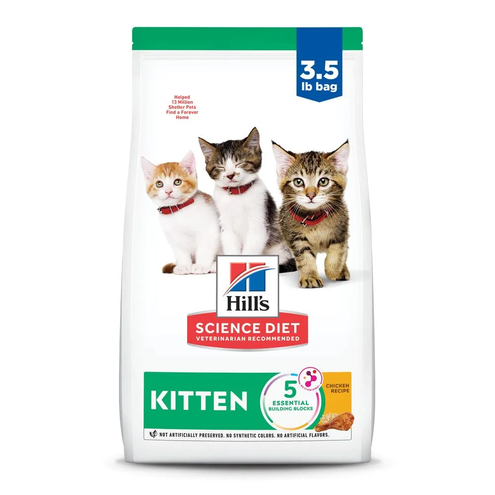 Kitten Food