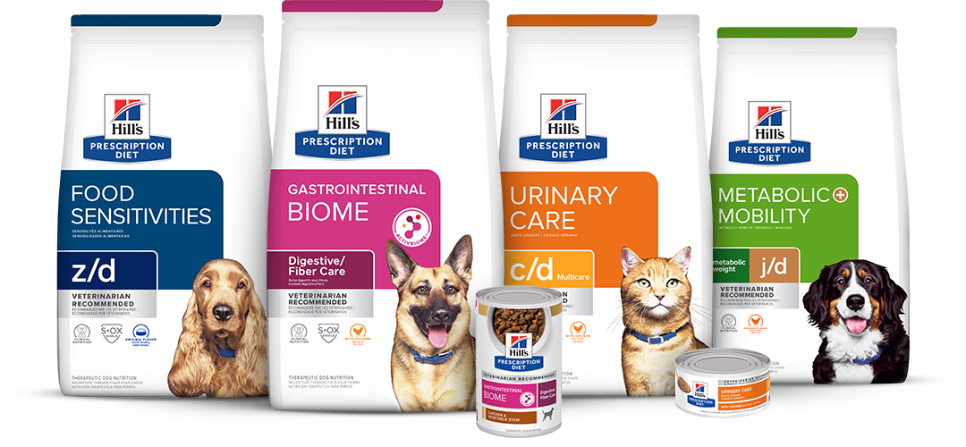 An assortment of food bags