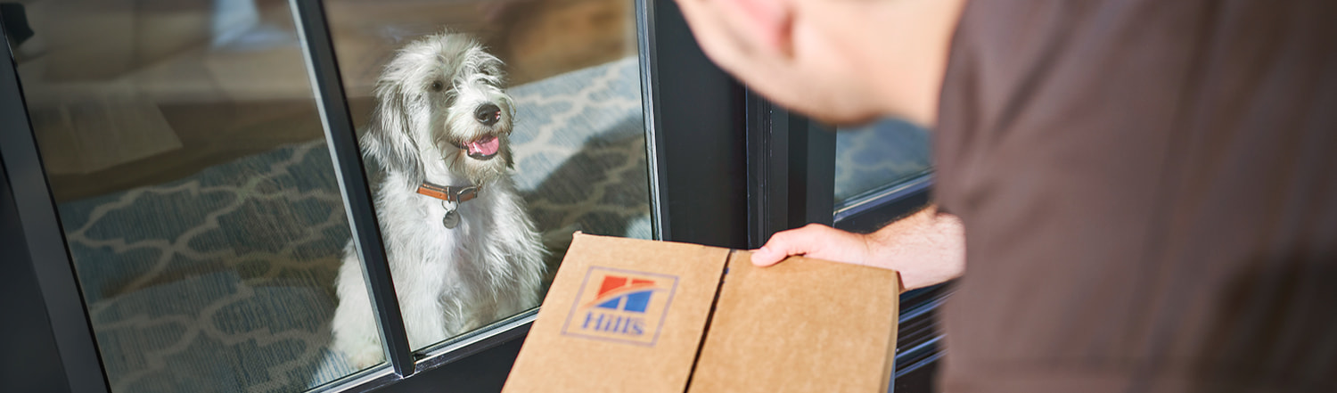 dog and box delivery 