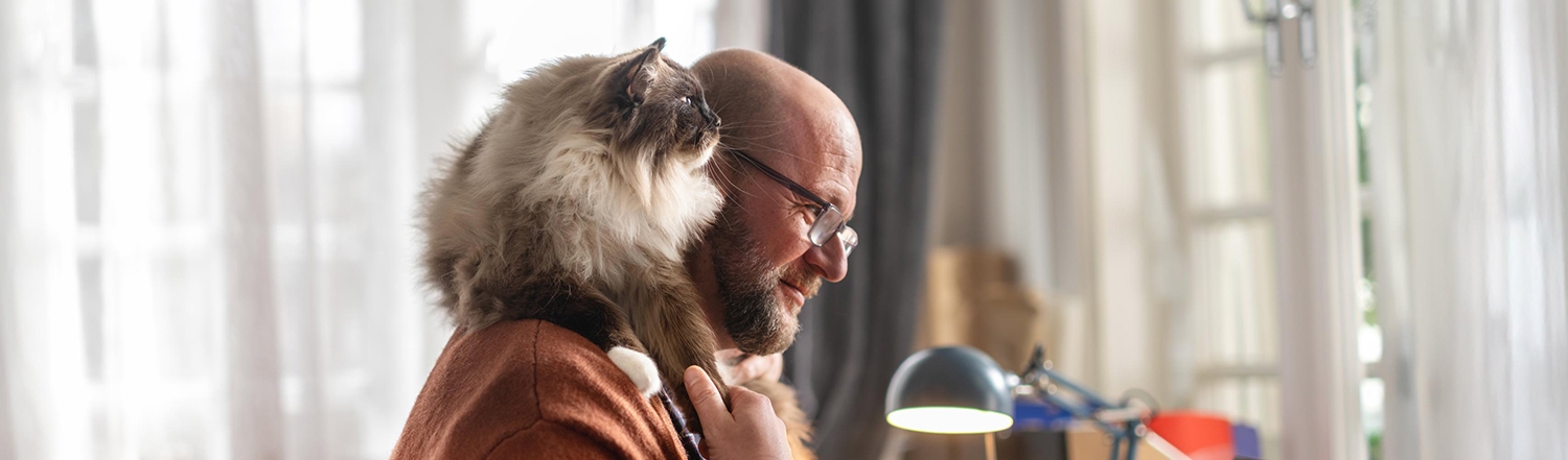 A cat riding on a man's shoulders