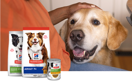 A dog being pet. Their head in the persons lap.