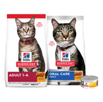 All Cat Food