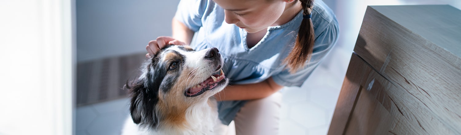 A girl petting a dog
