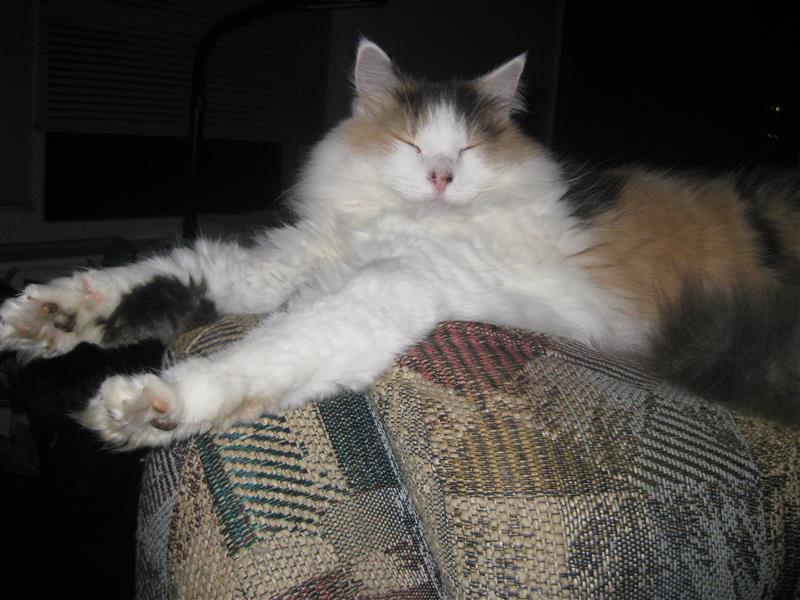 124099_0.jpg