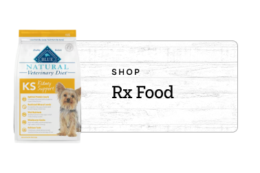 Shop by Flea and Tick