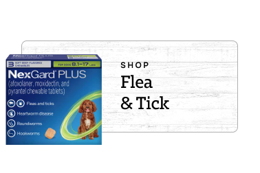 Shop by Flea and Tick