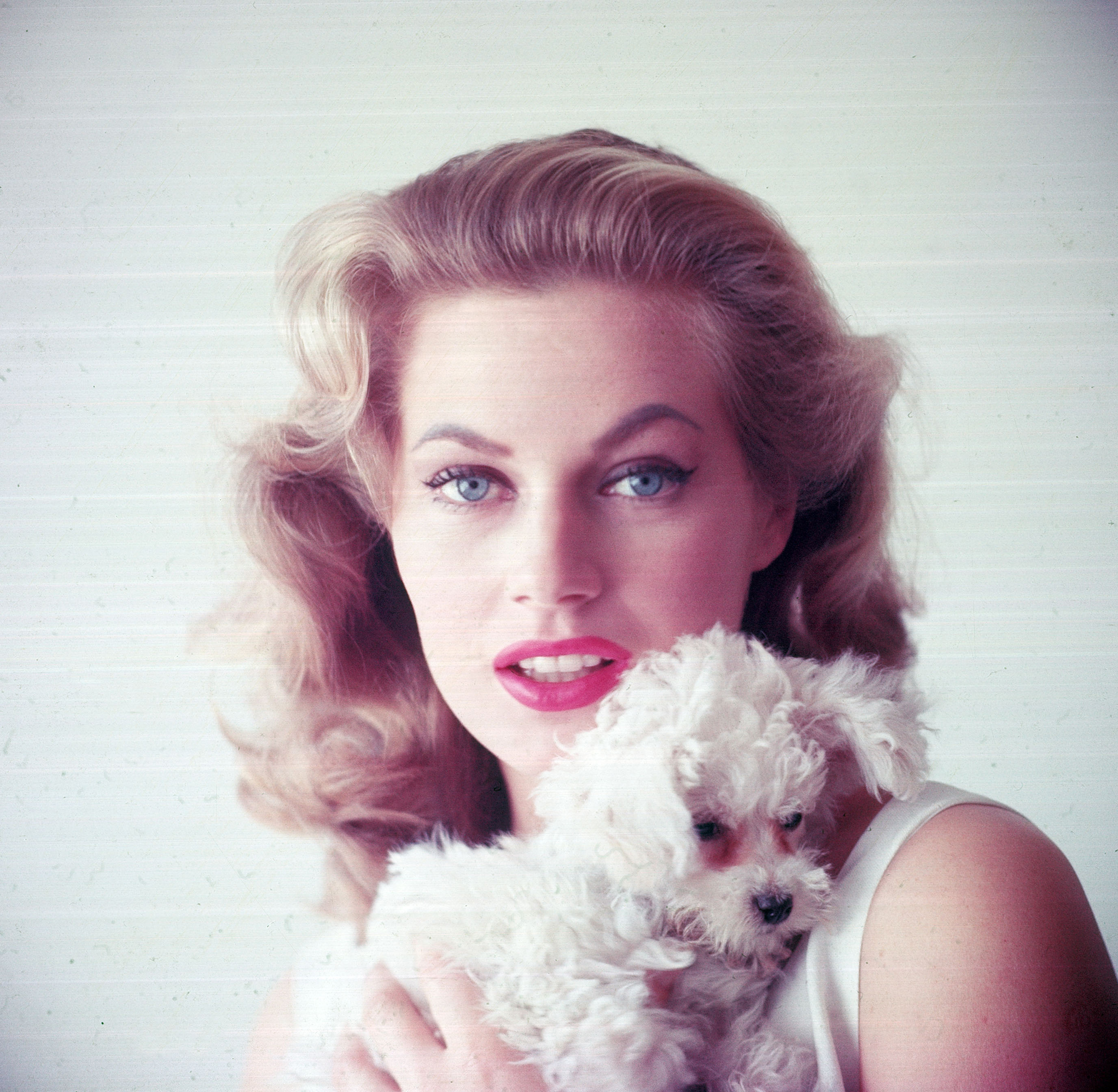 Anita Ekberg: Life and Career Before and After 'La Dolce Vita'