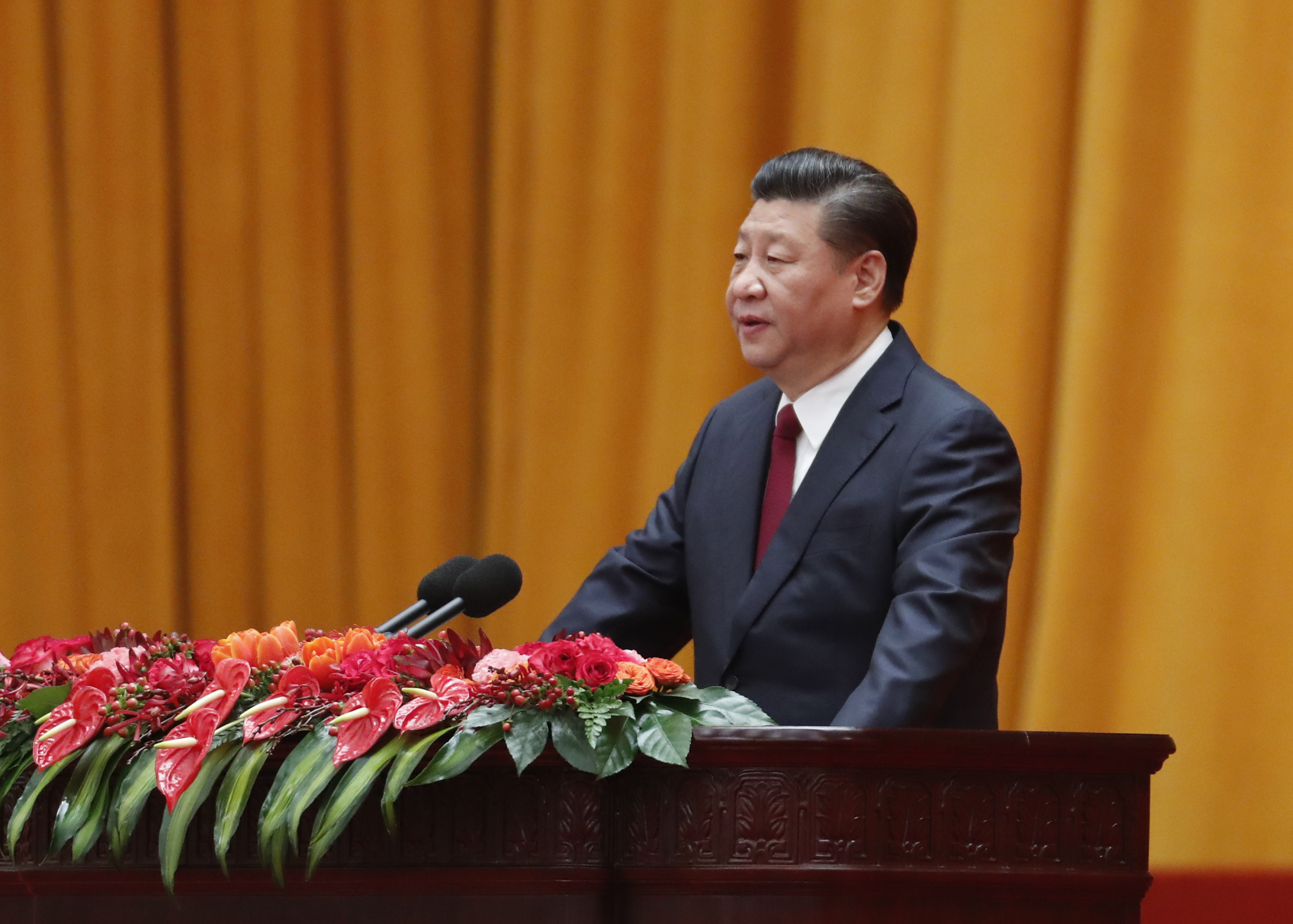 Xi Jinping at 2018 Chinese New Year celebration party