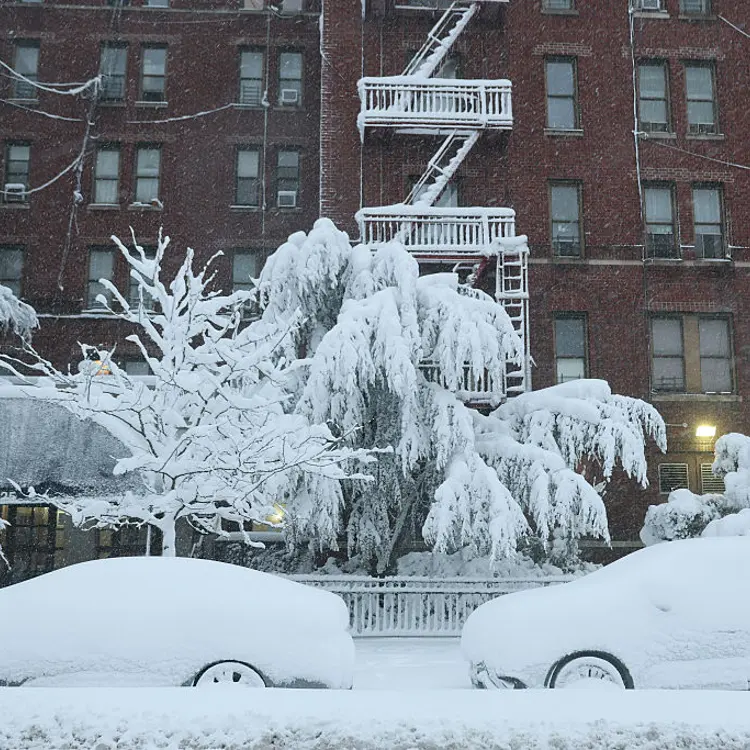Parked cars and trees are covered in snow during a blizzard in the Flatbush neighborhood of the Brooklyn borough in New York City on Feb. 23, 2026.