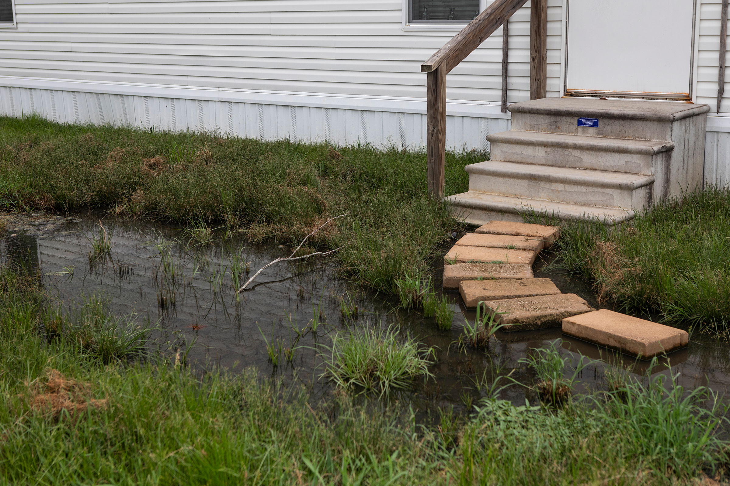 Sewage fills the front yard of residents in Lowndes County, Alabama on August 1st, 2022.