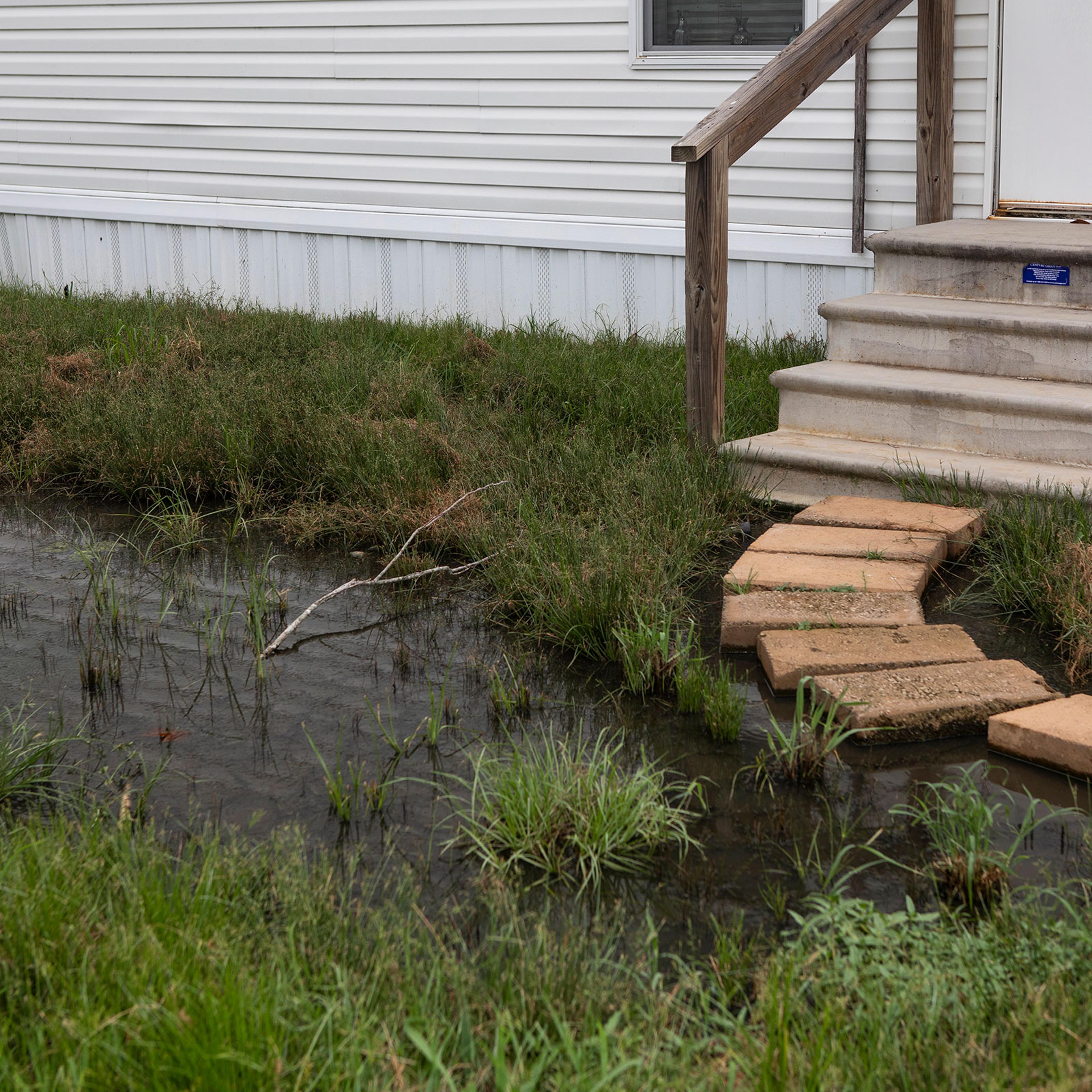 Sewage fills the front yard of residents in Lowndes County, Alabama on August 1st, 2022.