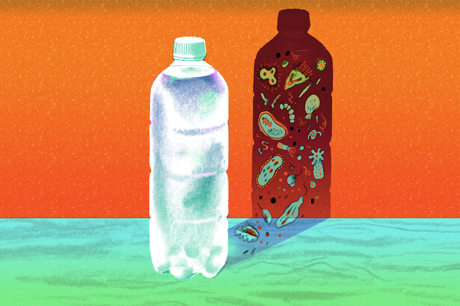 Can Water Go Bad and Make You Sick