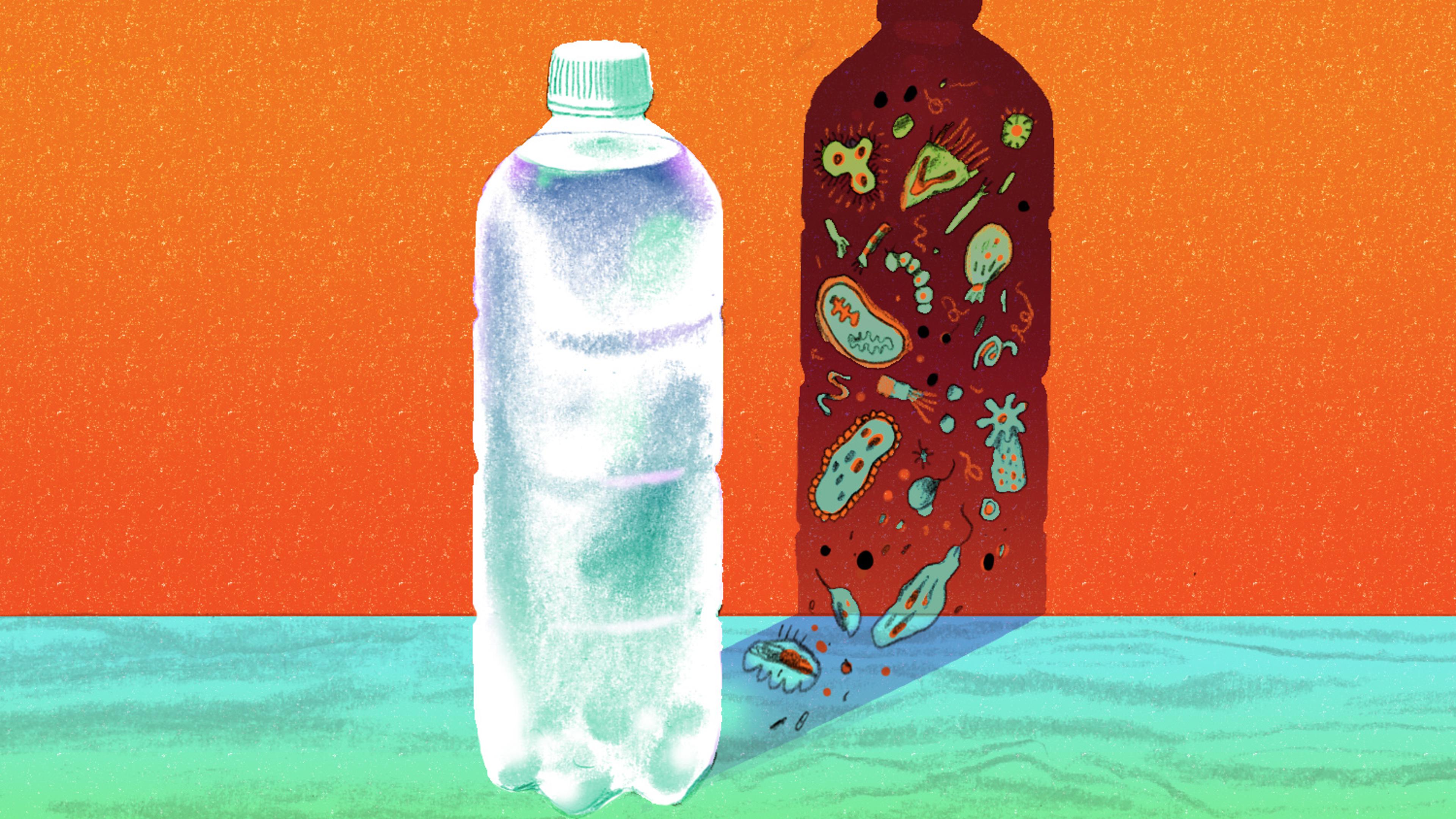 can bac water go bad Can Water Go Bad and Make You Sick can bac water go bad Can Water Go Bad and Make You Sick