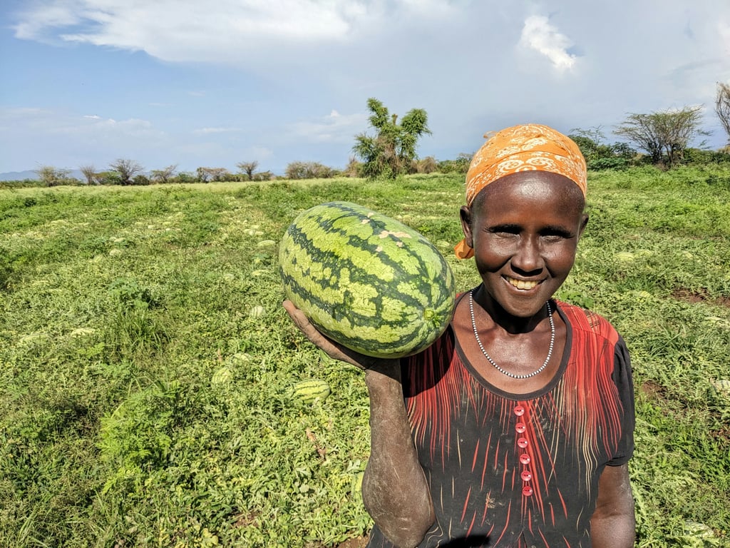 GiveDirectly