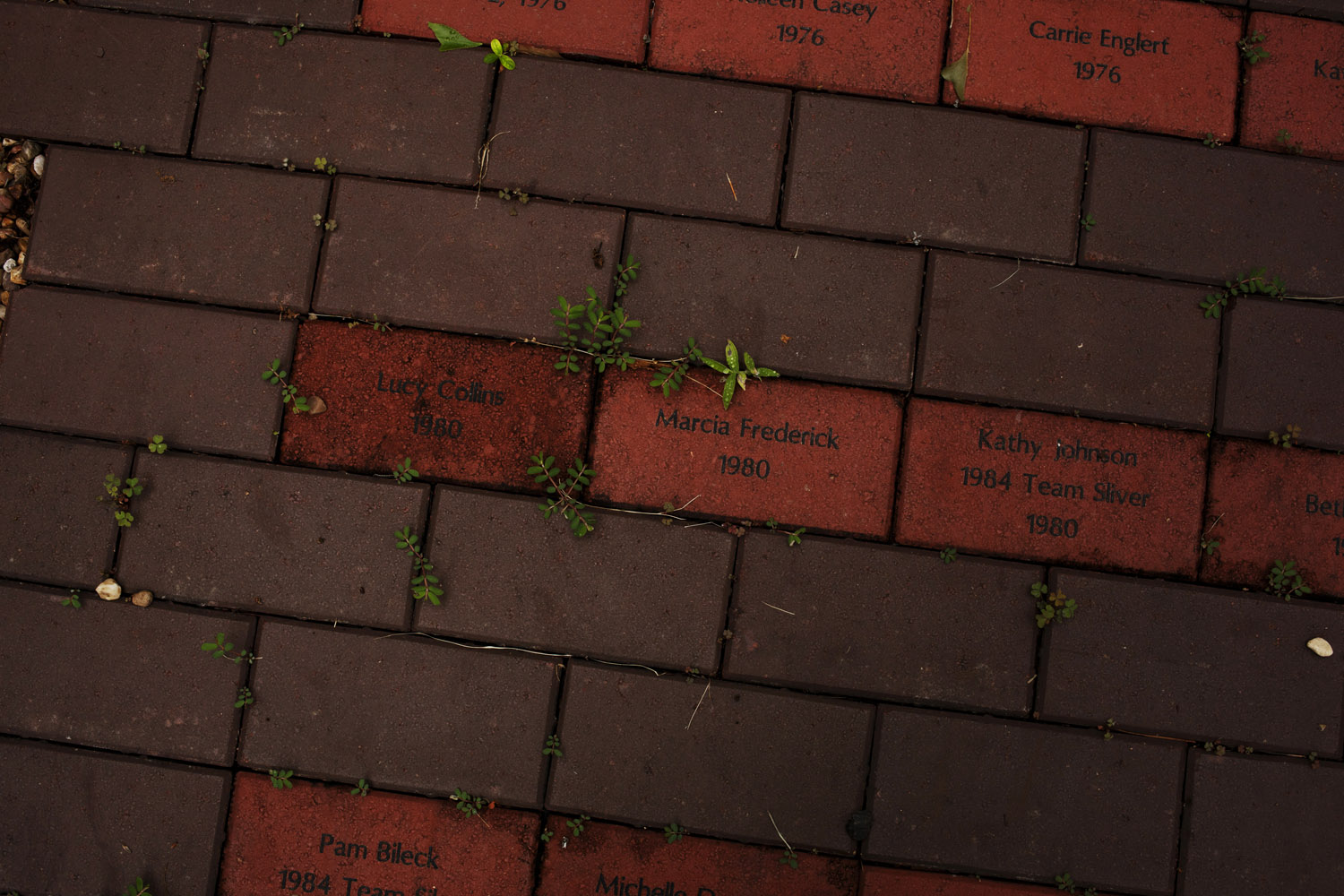 The Walk of Fame at Karolyi's Camp bears the names of Olympic medalists who have trained at the camp.