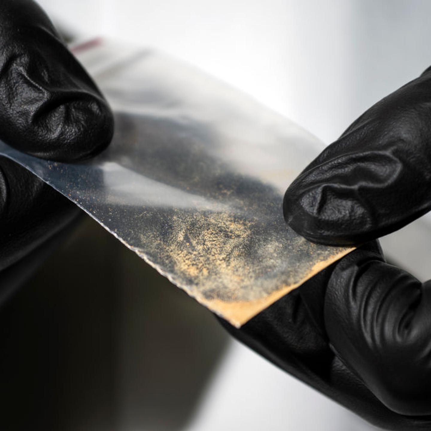 Two hands in black gloves hold a bag containing a sample of nitazene powder.