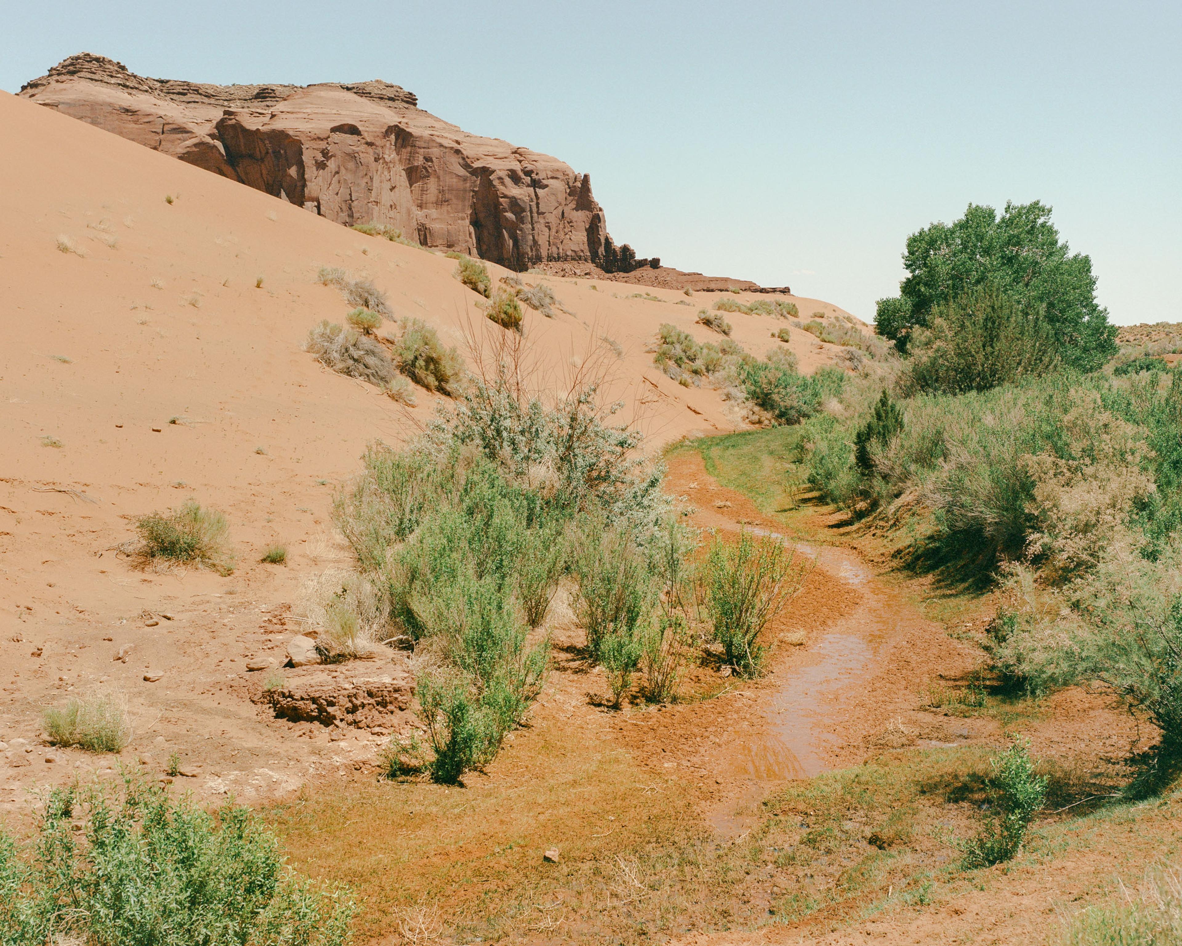At the Source
Sand Spring is one of five springs in Monument Valley that are used by residents. With a long legacy of uranium mining in the area and throughout the Navajo Nation, water quality presents a serious concern as the Diné experience some of the highest cancer rates in the nation.