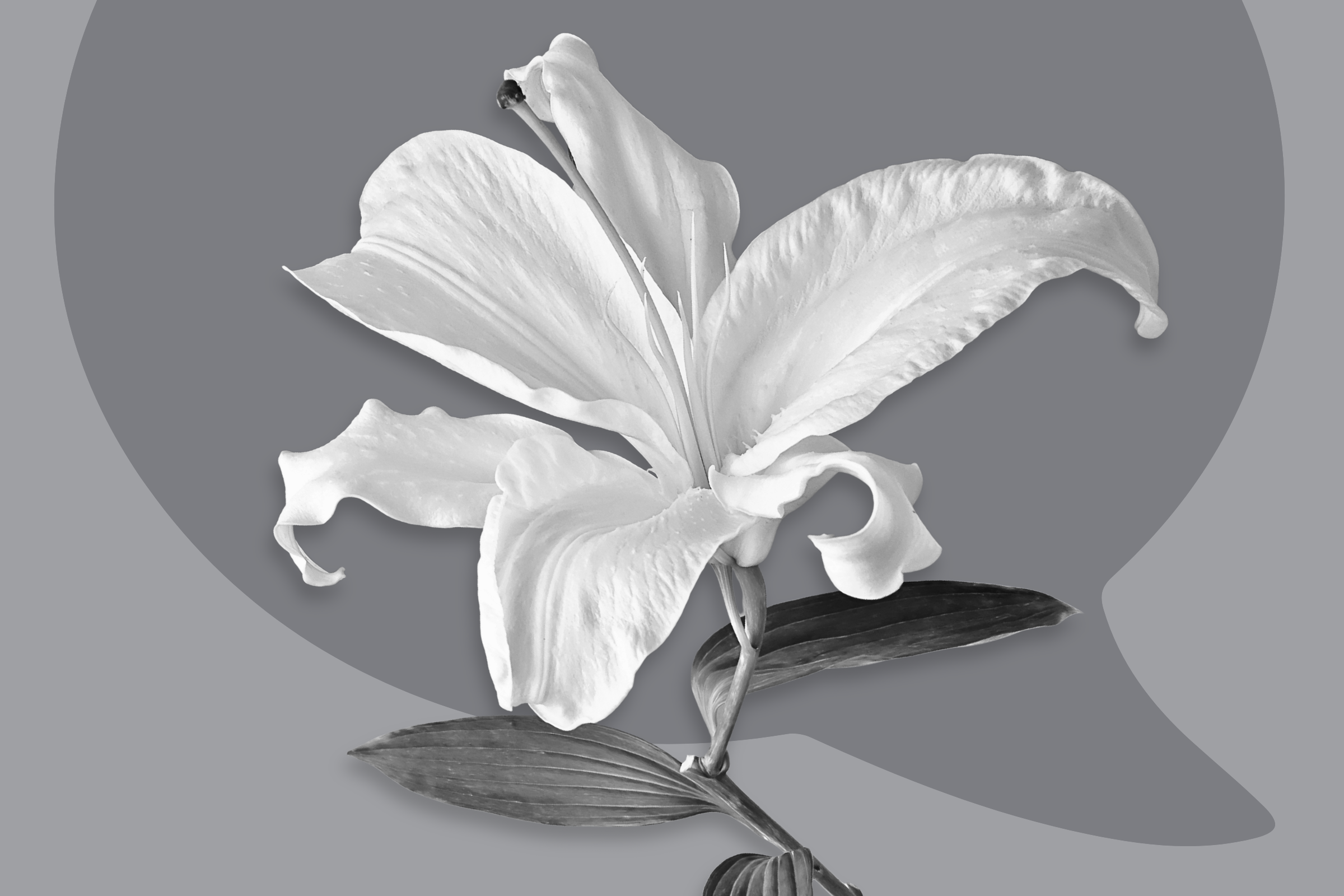 What to Say When Someone Has a Miscarriage&mdash;And What to Avoid