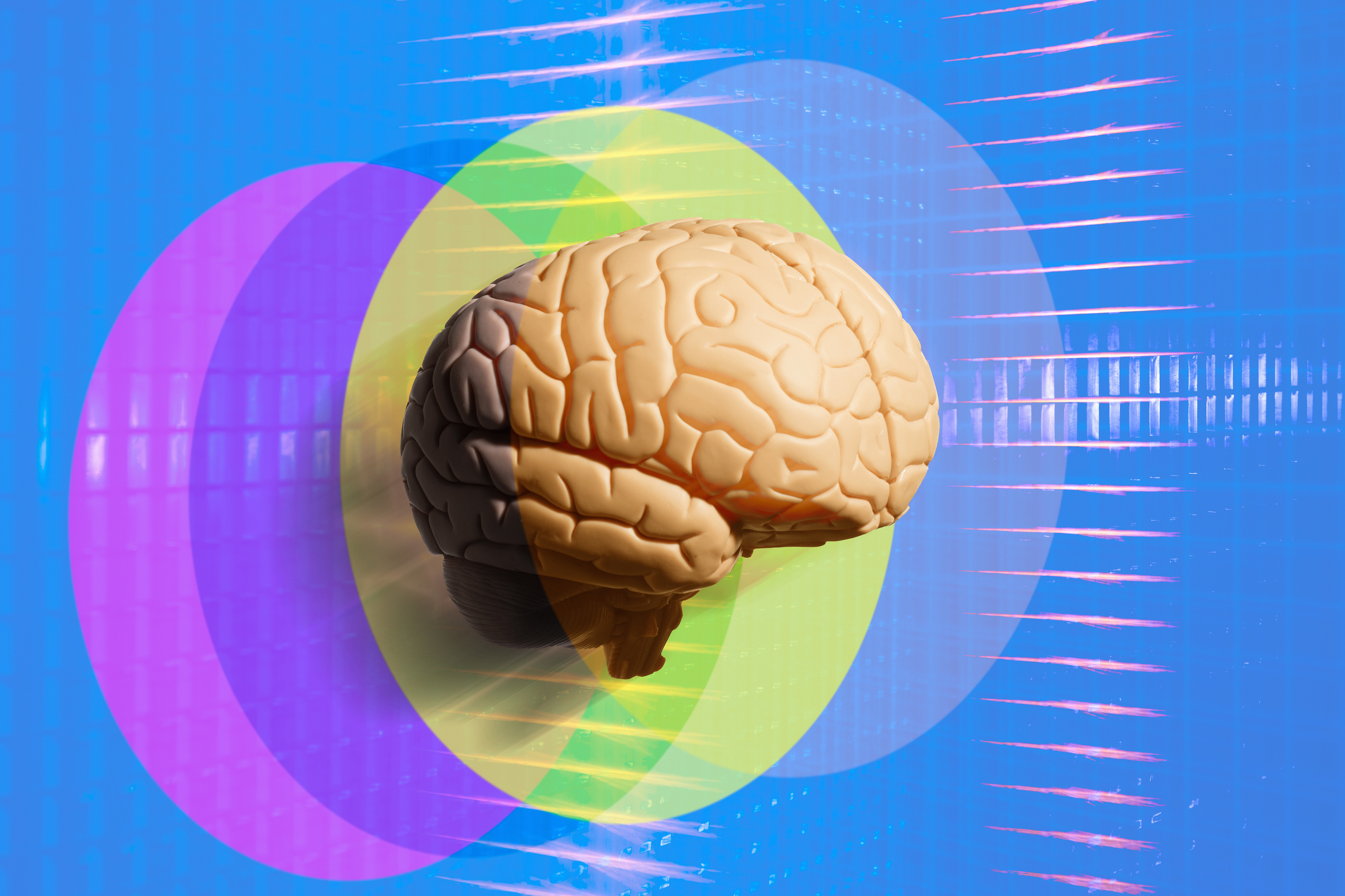 The Neuroscience of the Self