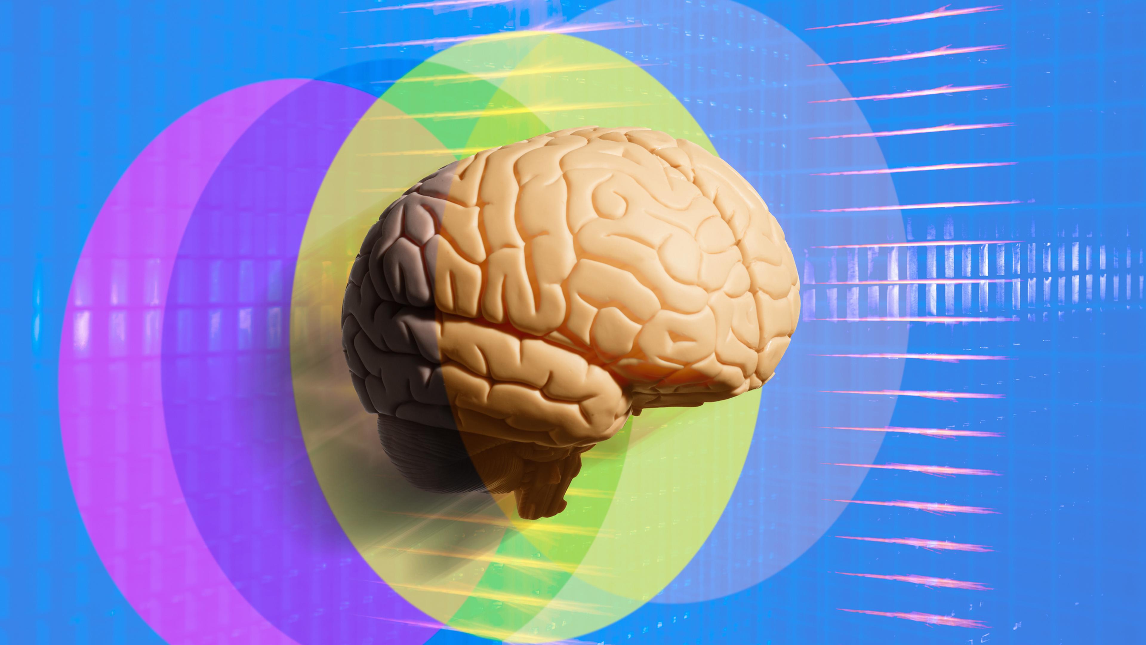 The Neuroscience of the Self