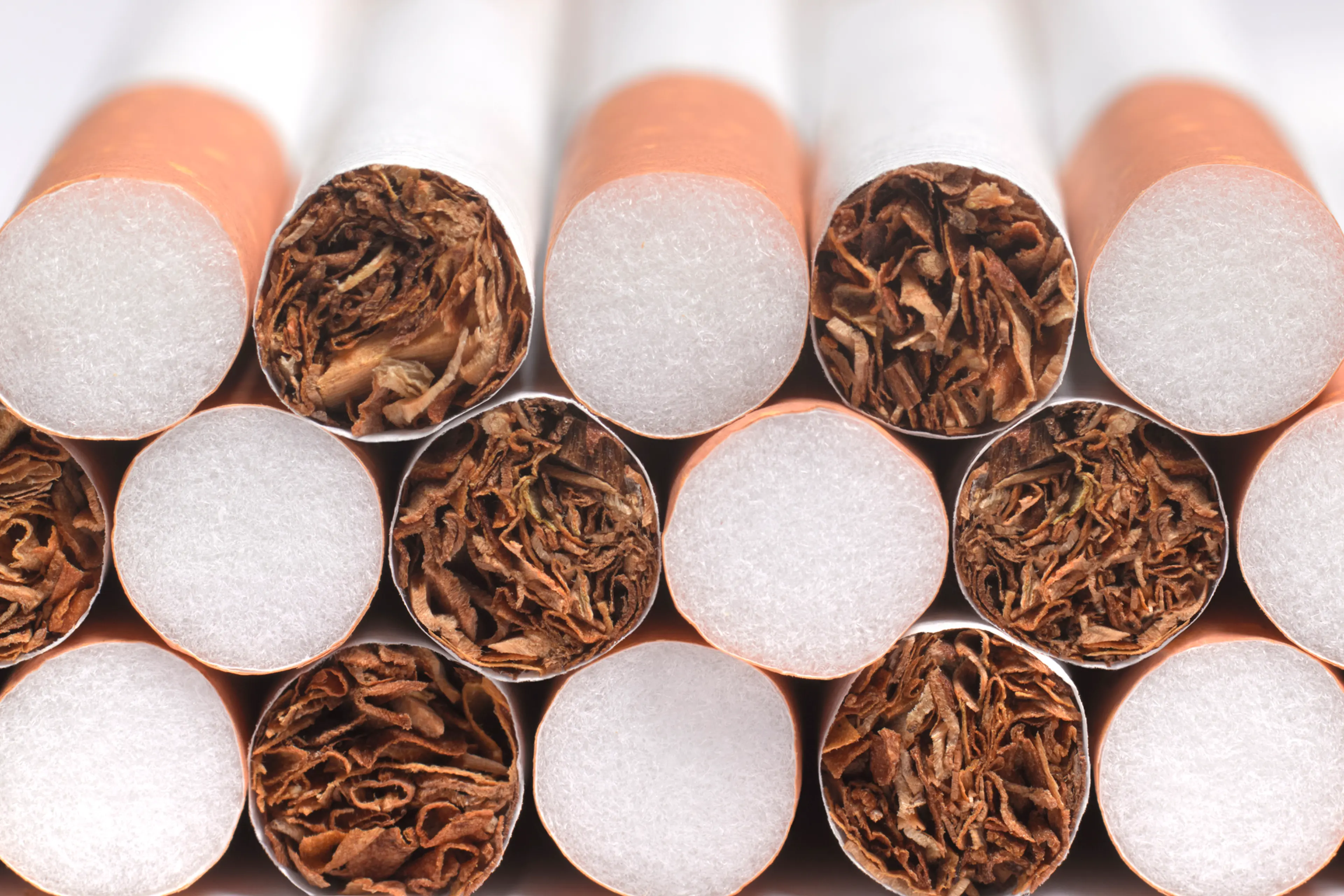 lung pain after smoking cigarettes Smoking Hurts the Lungs and Heart, Author s Purpose Reading Passage lung pain after smoking cigarettes Smoking Hurts the Lungs and Heart, Author s Purpose Reading Passage