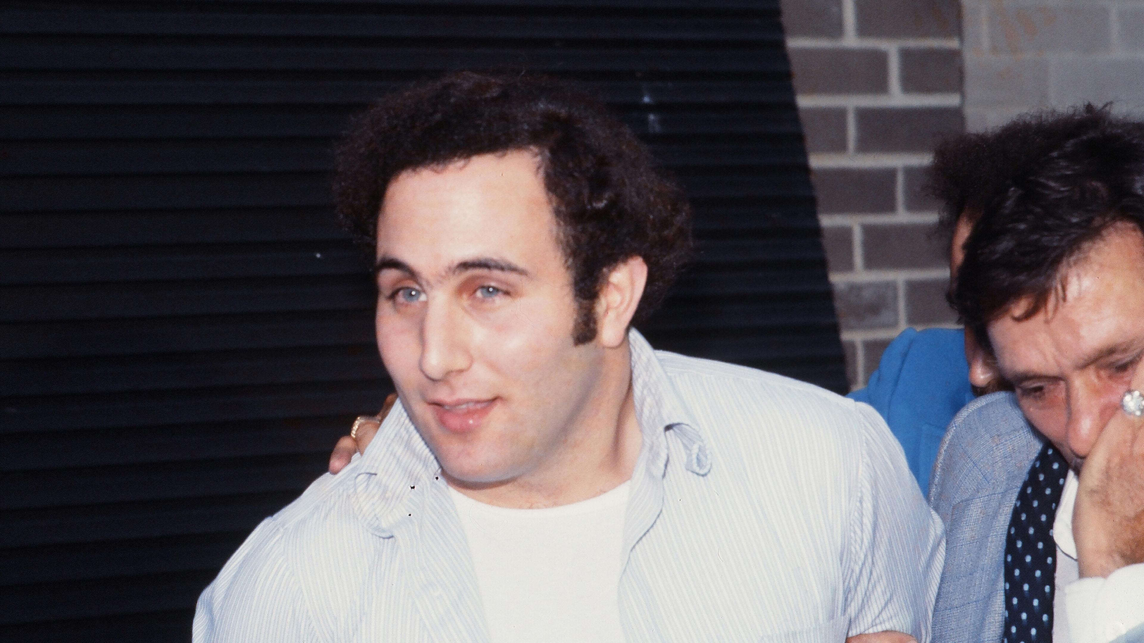 Son Of Sam Arrested
