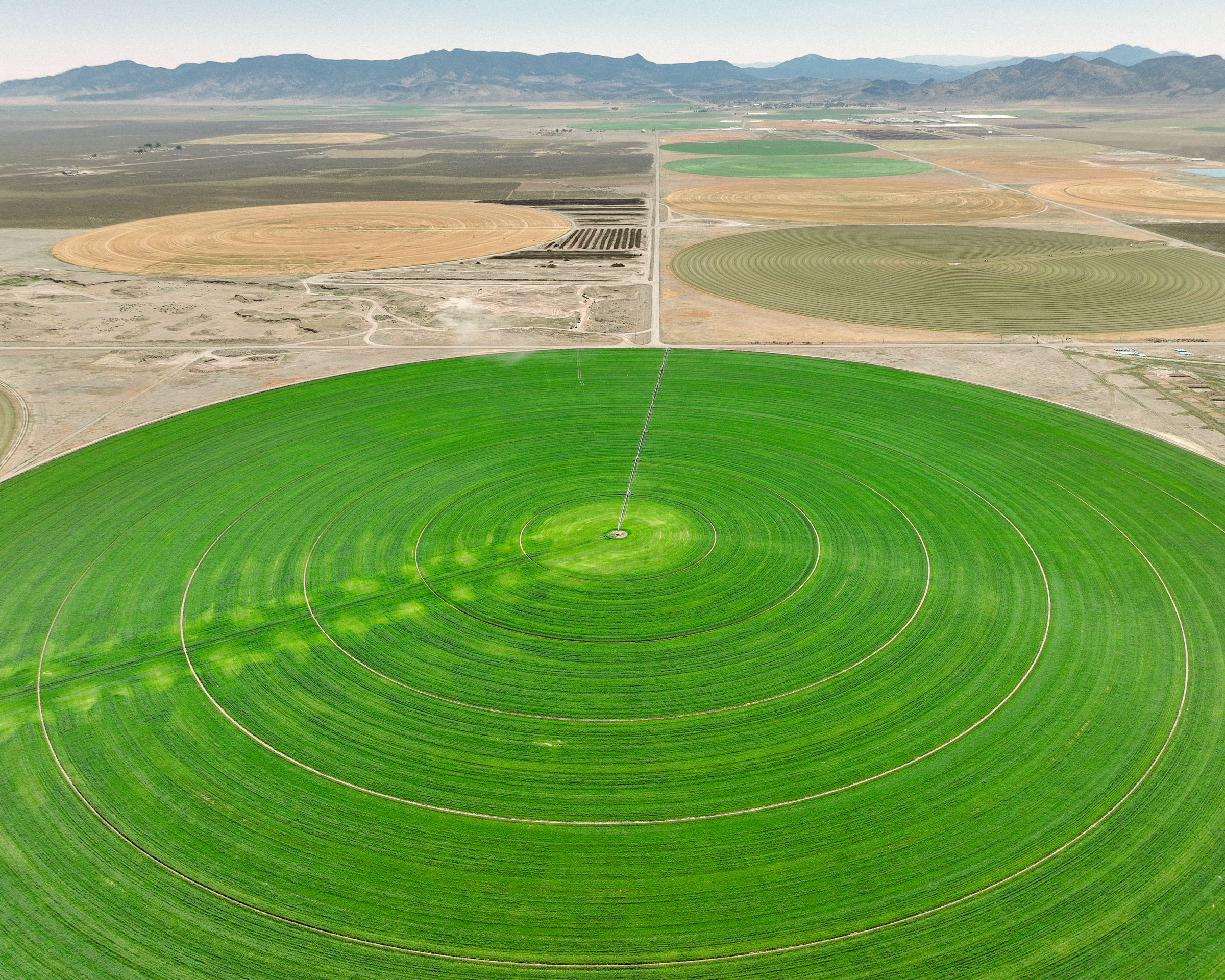Alfalfa is the thirstiest of the crops that consume 86% of water in the West. These fields that straddle an arid valley in Washington and Iron counties rely on an aquifer that ranks among the fastest declining in North America. In addition to trialing innovative water-saving policies, the Holt Family is experimenting with a wheat-rye hybrid called triticale that requires less water than alfalfa. 