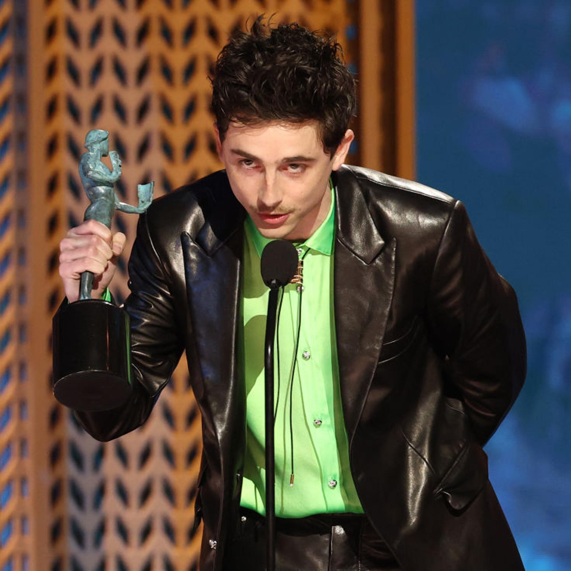 31st Annual Screen Actors Guild Awards - Show