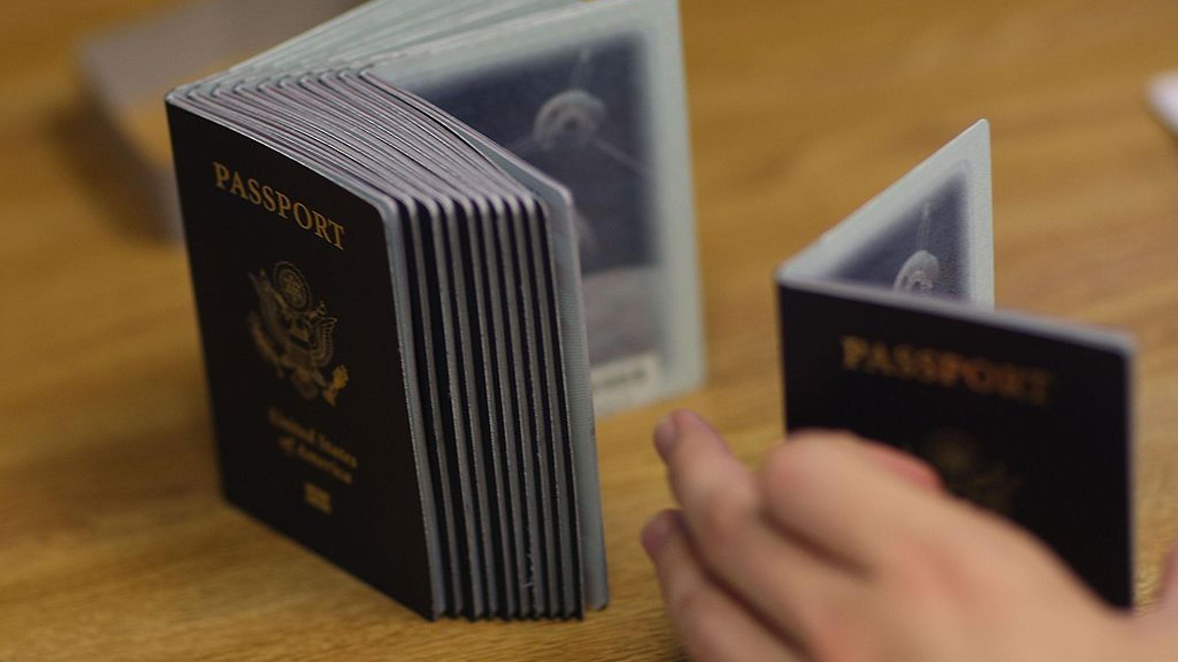 New Passport Design Featuring Trump's Face Unveiled by State Department