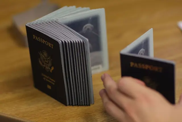 New Passport Design Featuring Trump's Face Unveiled by State Department