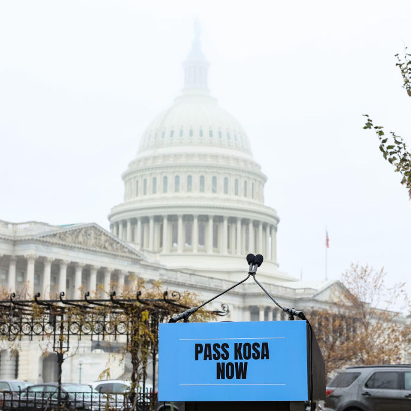 Accountable Tech And Design It For Us Lead A Rally In Support Of The Kids Online Safety Act