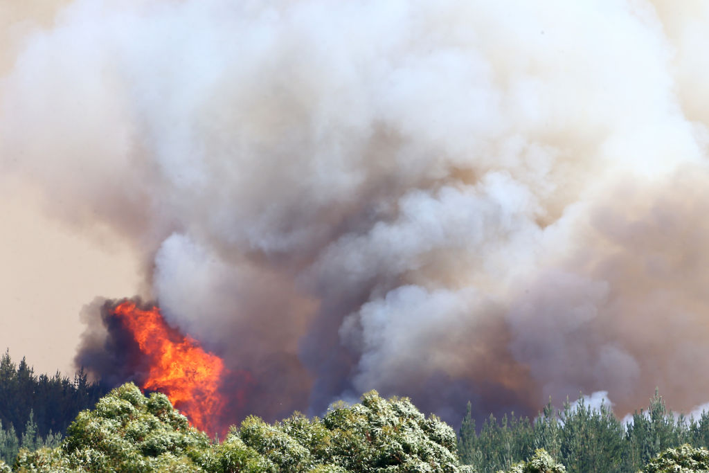 Hundreds Evacuated In Tasman District As Forest Fires Burn Near Nelson
