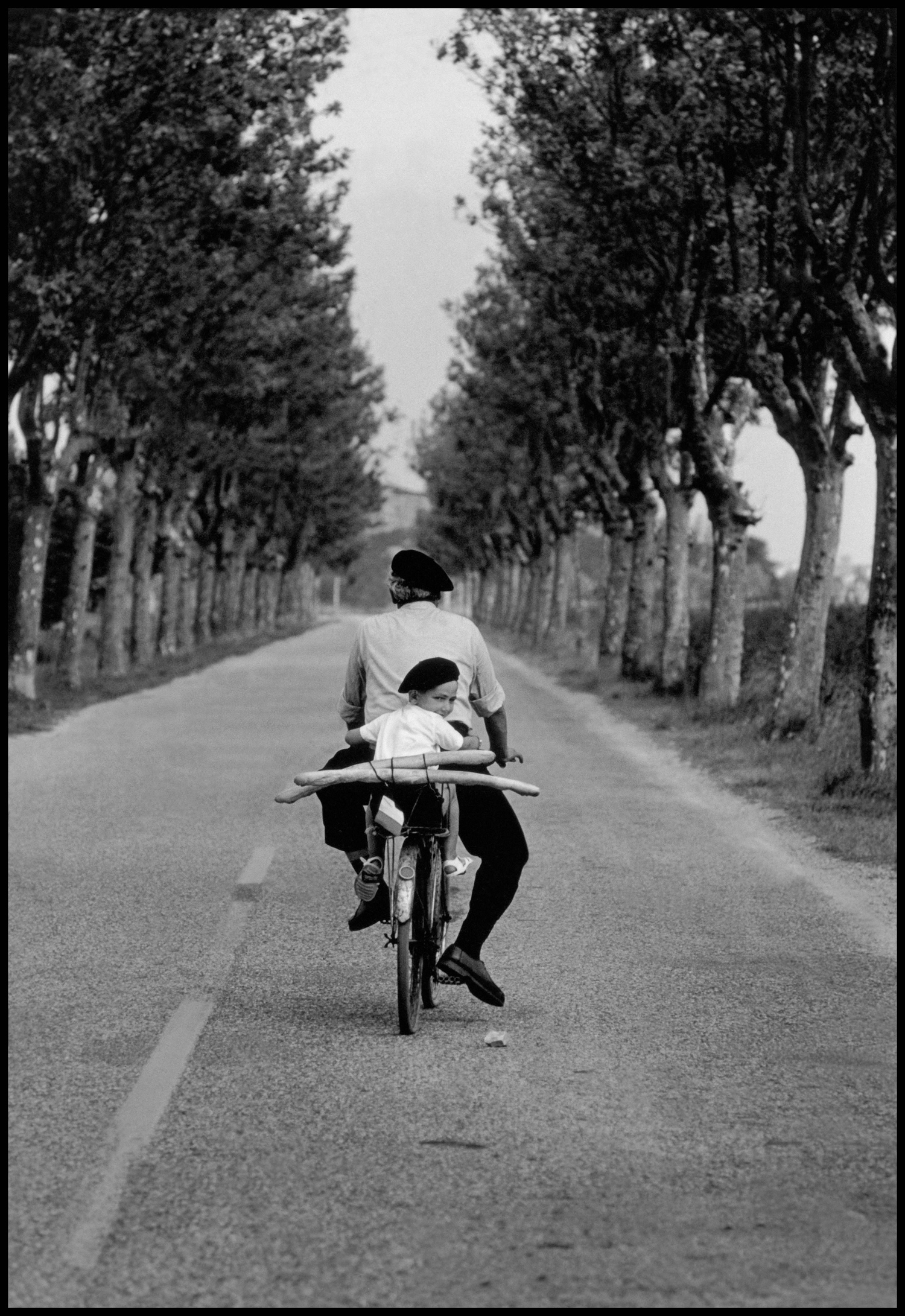 Elliott Erwitt's Discusses the Magic of Photography